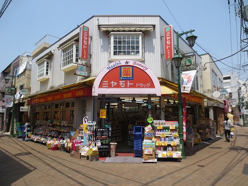 ドラックストア　どらっぐぱぱす 下赤塚店（ドラッグストア）まで592m