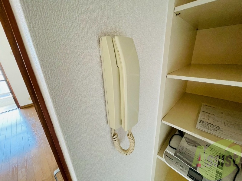 アンヘルのその他写真