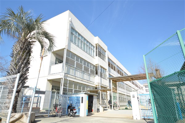 小学校　神戸市立千鳥が丘小学校（小学校）まで709m