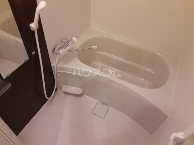 ホーリーホックの風呂写真