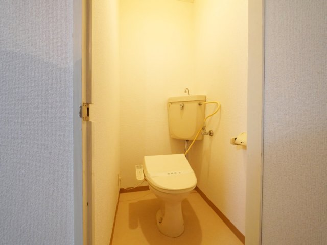 ＪＲ阪和線 鳳駅 徒歩10分 5階建 築39年のトイレ写真