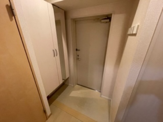 玄関　※別部屋の写真です