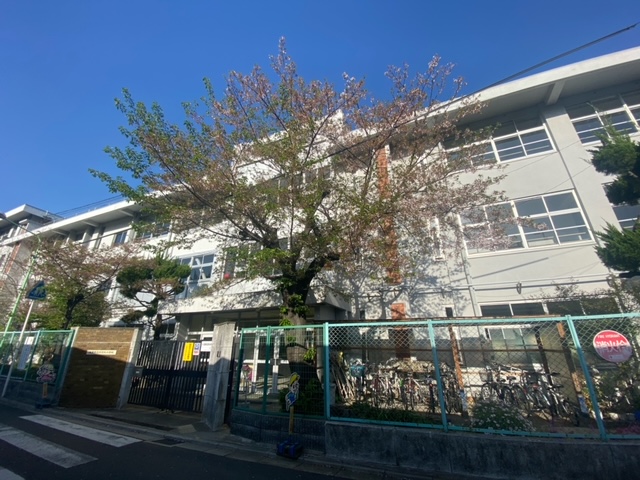 小学校　大東市立住道北小学校（小学校）まで246m