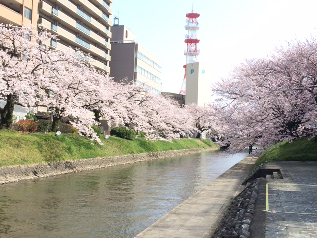 大学・短大　松川べり（大学・短大）まで10m