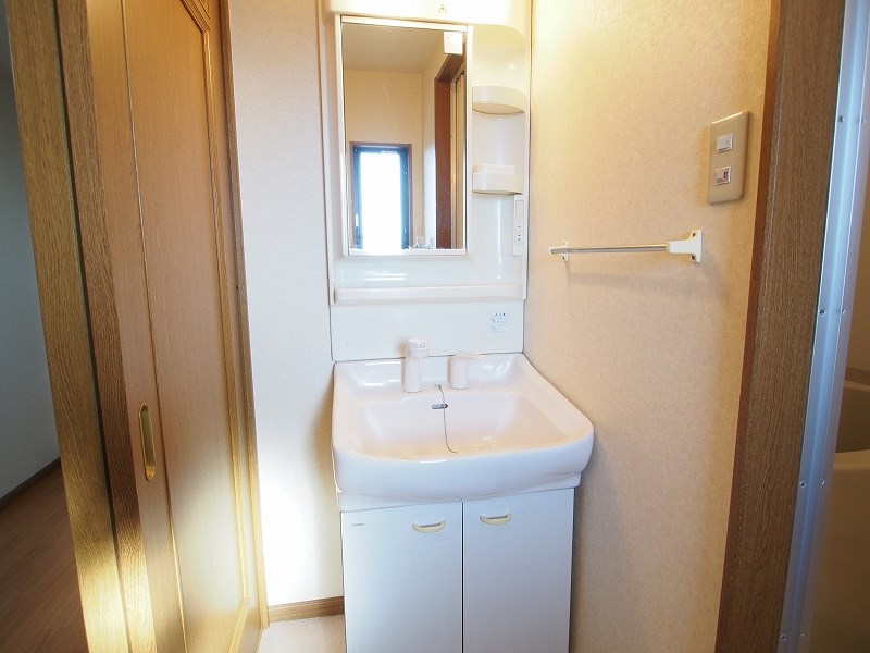 洗面設備　シャワー付きの独立洗面台です。