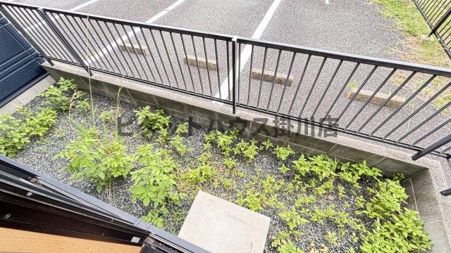 庭