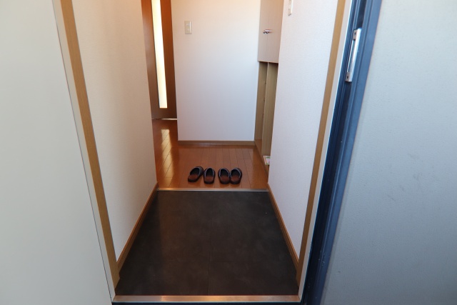 玄関　※他号室の参考写真となります