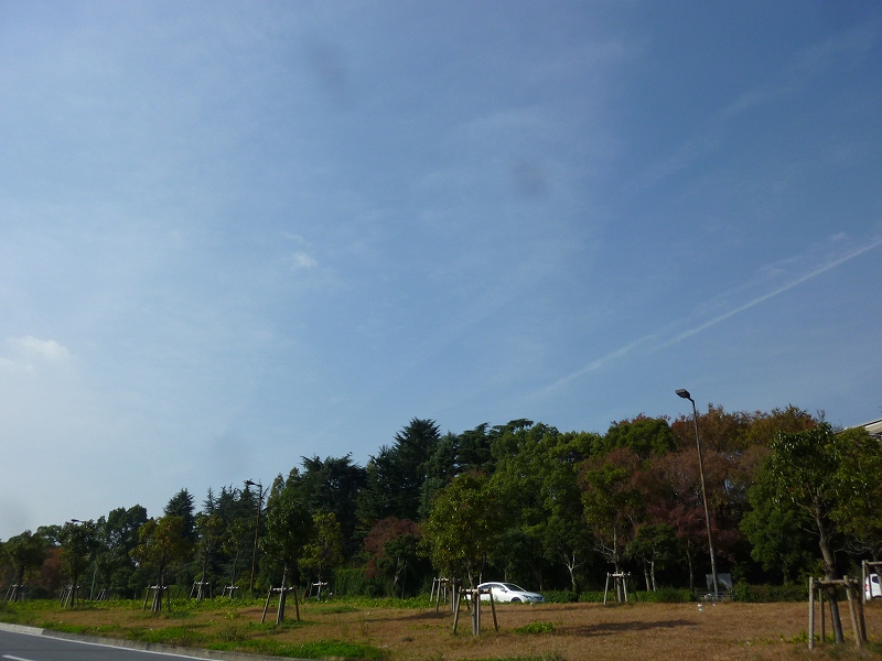 公園　花博記念公園鶴見緑地（公園）まで540m