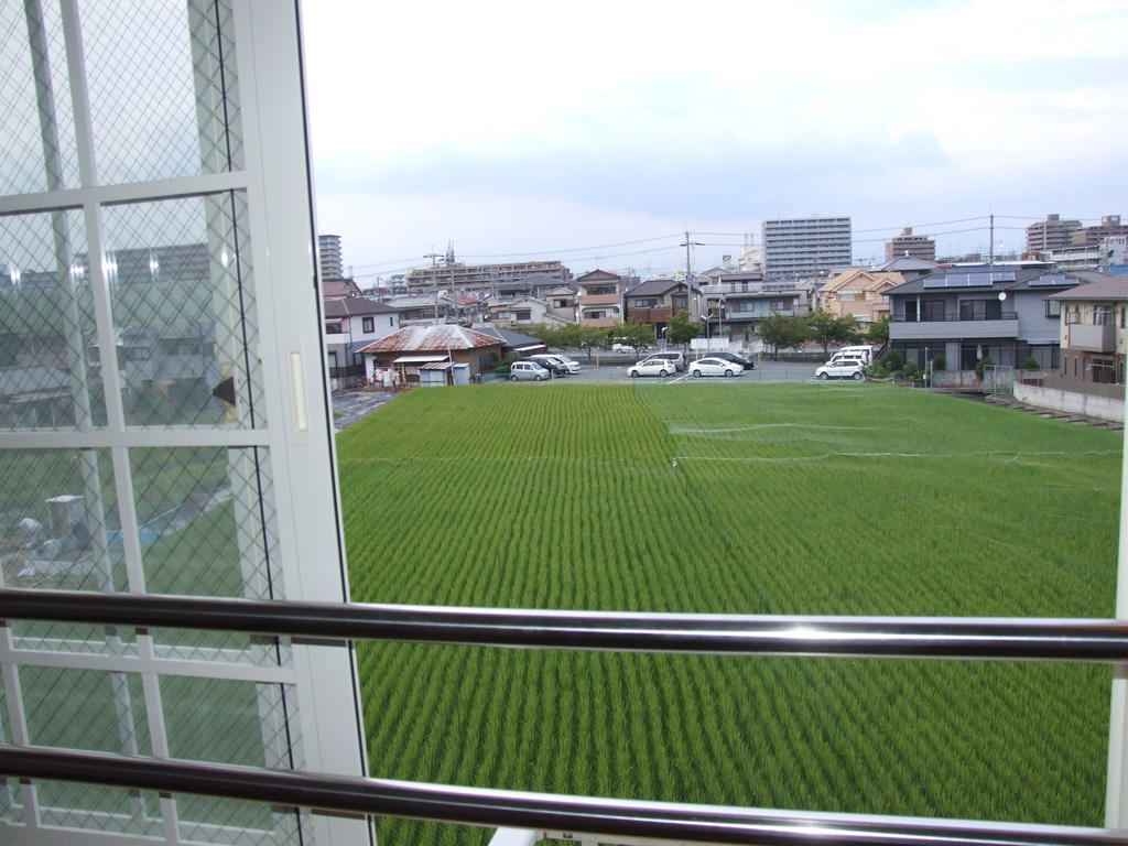 眺望　のどかでしょう♪帰ってきて落ち着く環境の場所ですよ♪