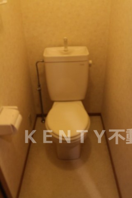 トイレ　トイレも気になるポイント