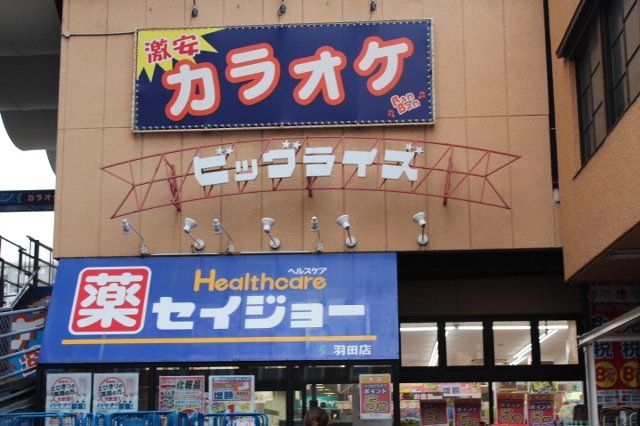 スーパー　ビッグライズ羽田店（スーパー）まで921m