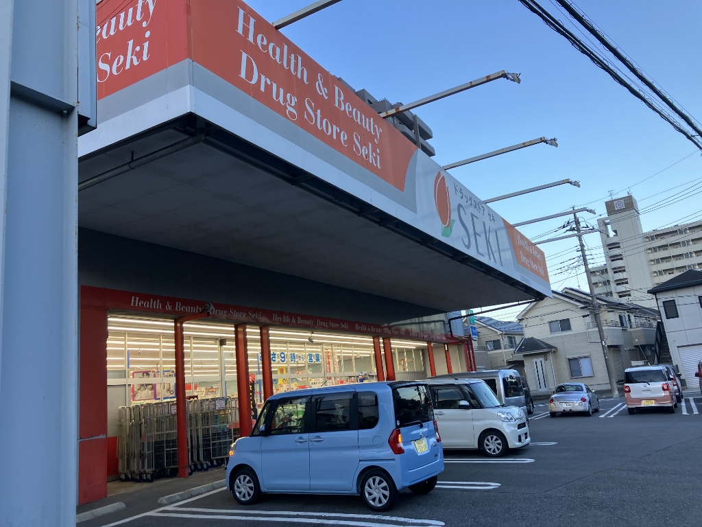 ドラックストア　ドラッグストアSEKI(セキ) 三郷早稲田店（ドラッグストア）まで1200m