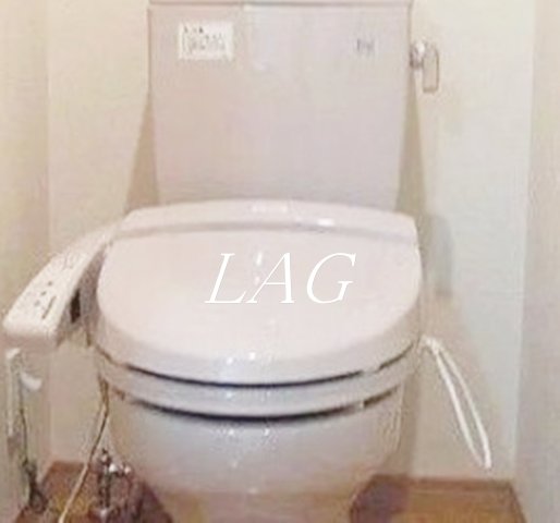 トイレ　トイレです。