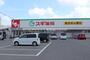 ドラックストア　スギ薬局豊橋中浜店（ドラッグストア）まで551m