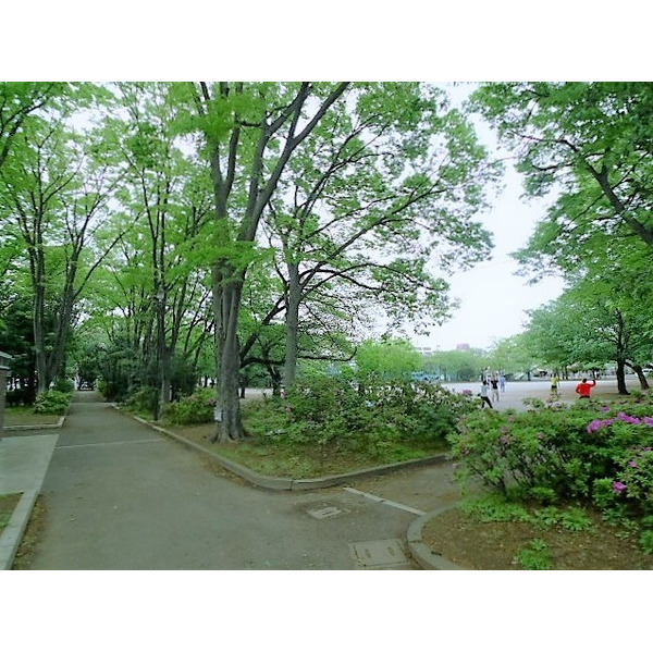 公園　成増北第一公園（公園）まで1046m