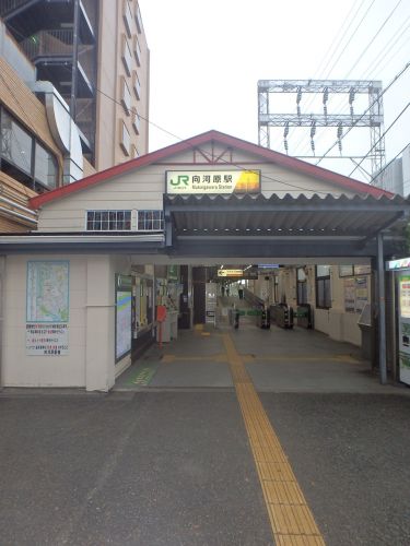 その他　向河原駅（その他）まで546m