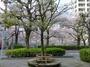 公園　亀の甲緑地（公園）まで826m