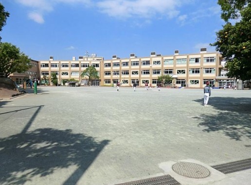小学校　若木小学校（小学校）まで504m