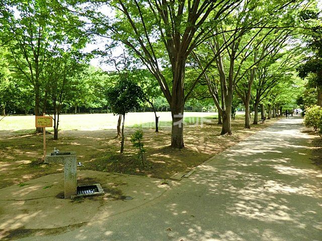 公園　八千代台近隣公園（公園）まで529m