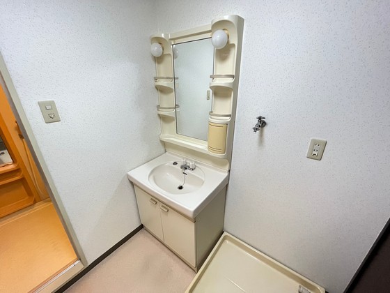 洗面設備　※別号室の写真です