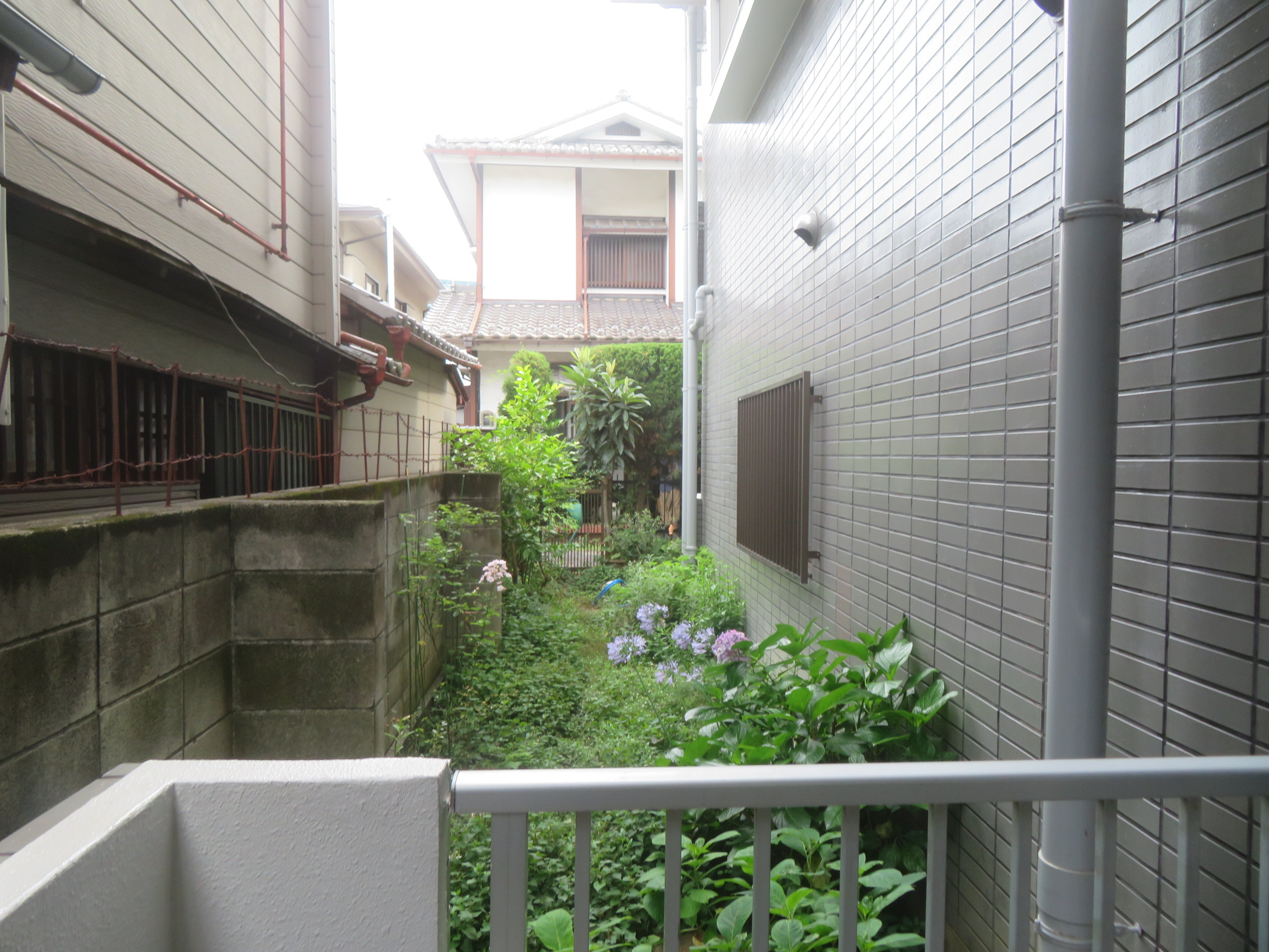 眺望　※別室参考写真※