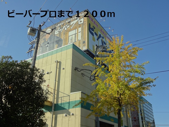ホームセンター　ビーバープロ（ホームセンター）まで1200m
