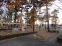 公園　花畑近隣公園（公園）まで70m