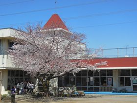 幼稚園・保育園　第二幼稚園（幼稚園・保育園）まで279m