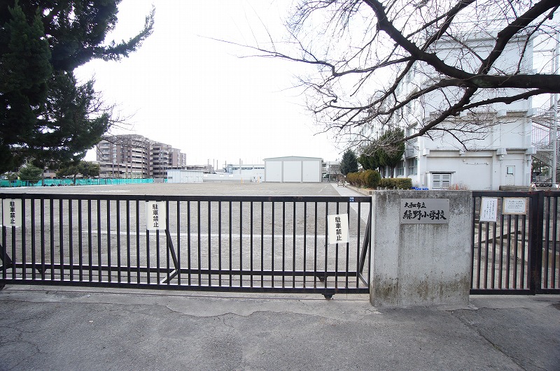 小学校　大和市立緑野小学校（小学校）まで576m