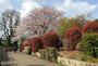 公園　亀塚公園（公園）まで573m
