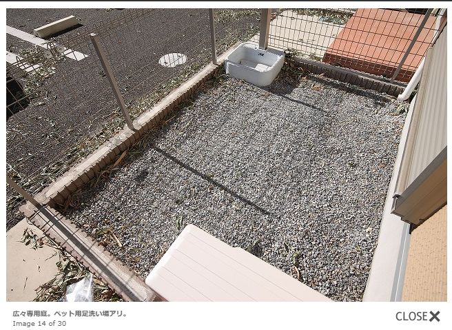 庭　専用庭には外水栓も付いております