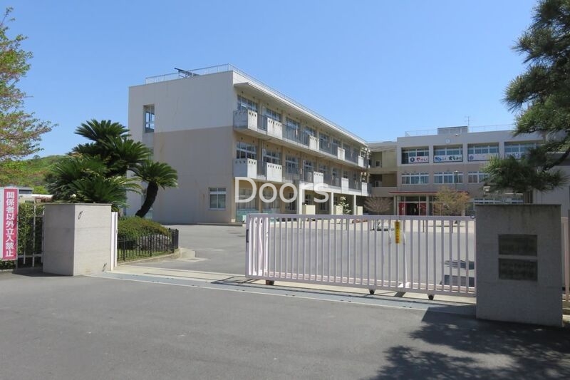 中学校　国立岡山大学教育学部附属中学校（中学校）まで482m