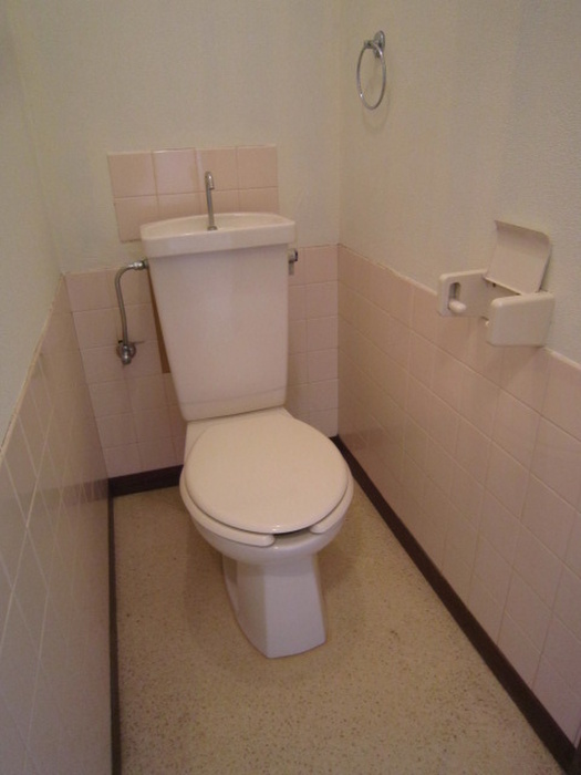 コ-ポリゲルのトイレ写真