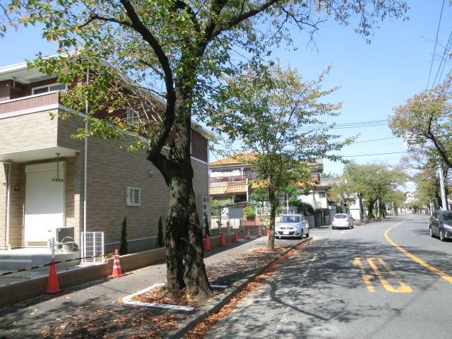その他　並木通りに面した静かな住環境です