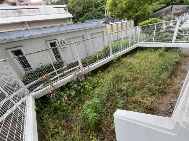 庭