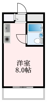 富田林市若松町のマンションの間取り