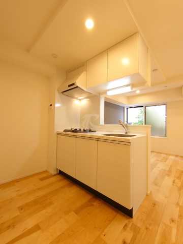 キッチン　カサプレミア代田 102