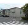 岡戸アーバンハイツ 2階 築35年1ヶ月の賃貸物件