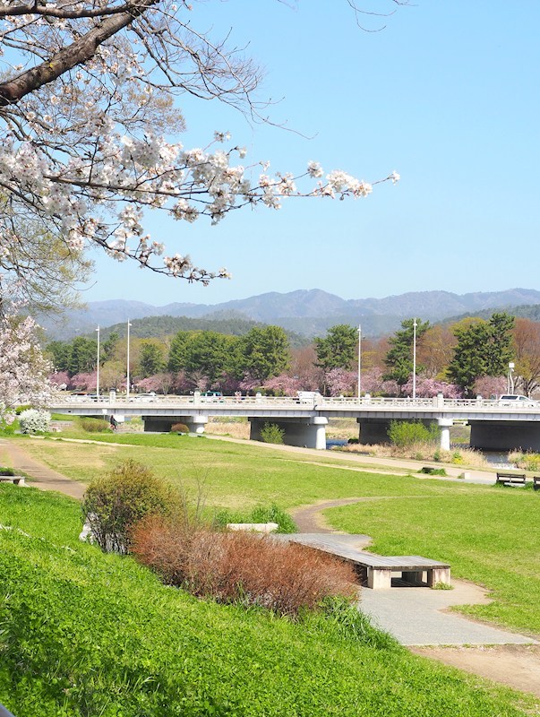 その他　賀茂川?河川敷