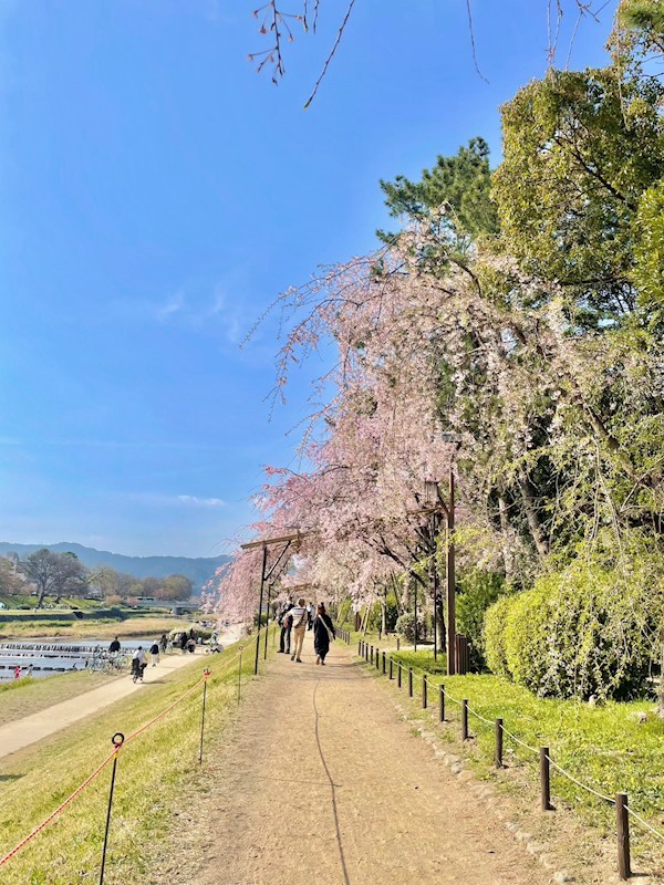 その他　賀茂川?河川敷