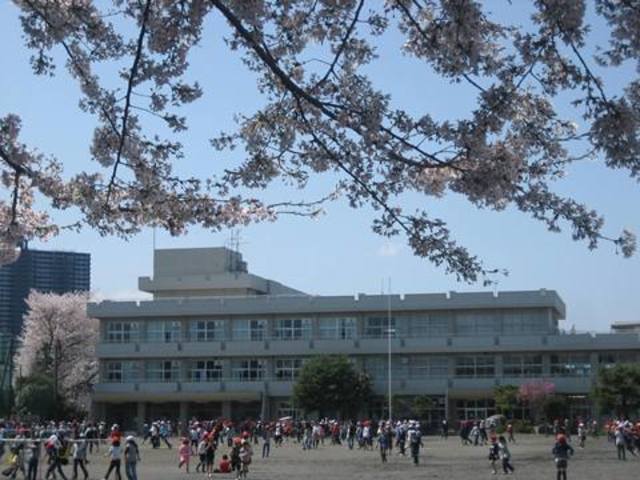 小学校　相模原市立鶴園小学校（小学校）まで716m