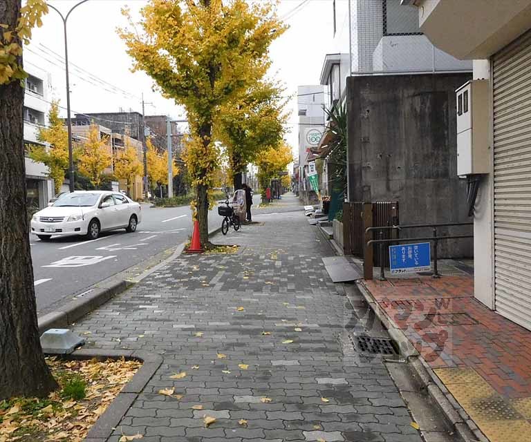 その他　前面道路です。