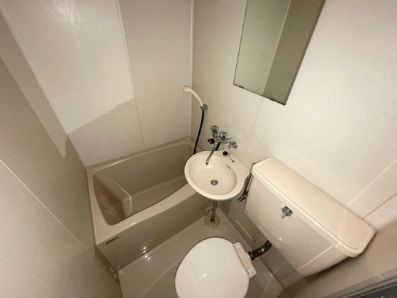 バス・シャワールーム　※別部屋の写真です