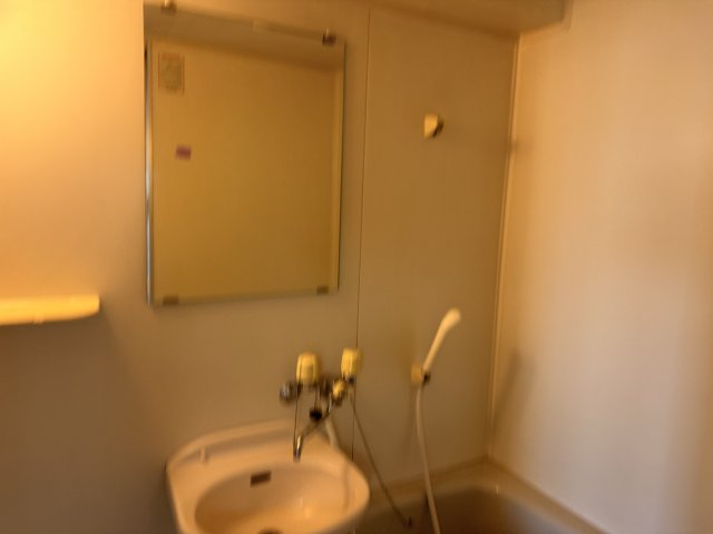 洗面設備　※別部屋参考写真