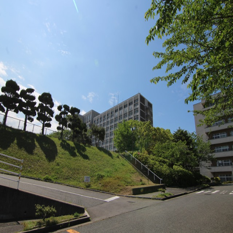 大学・短大　私立東亜大学（大学・短大）まで597m