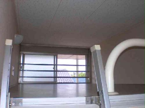 その他　はしごを登ると・・・