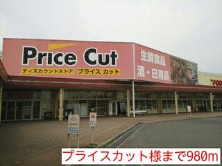 その他　プライスカット様（その他）まで980m