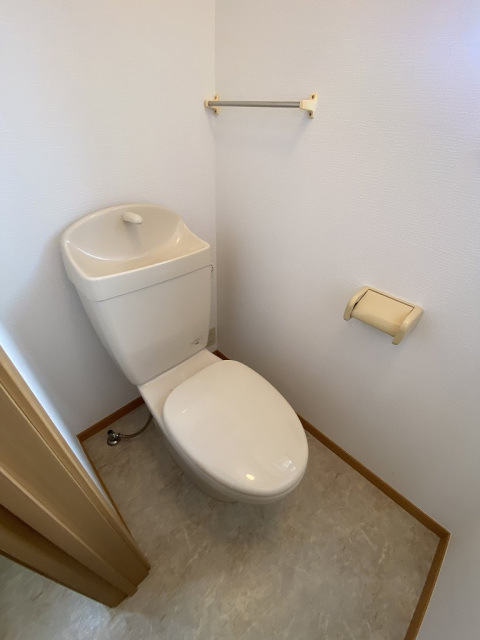 エテルノビルゴAのトイレ写真