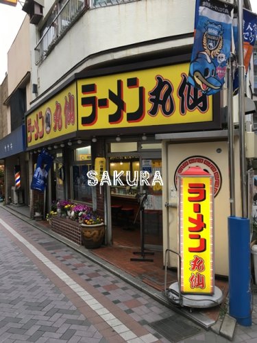 飲食店　ラーメン丸仙（飲食店）まで562m