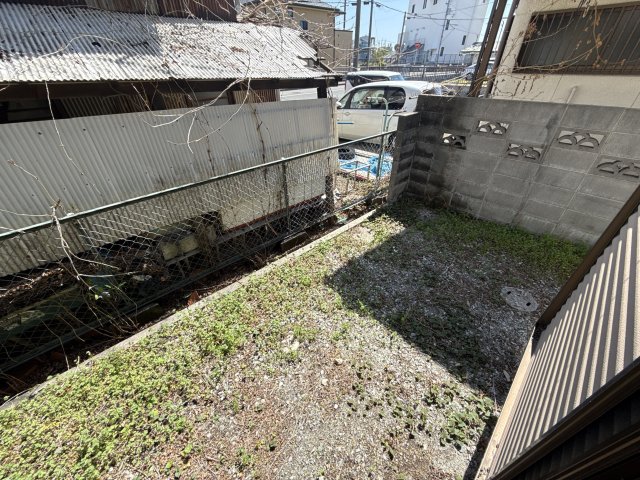 庭